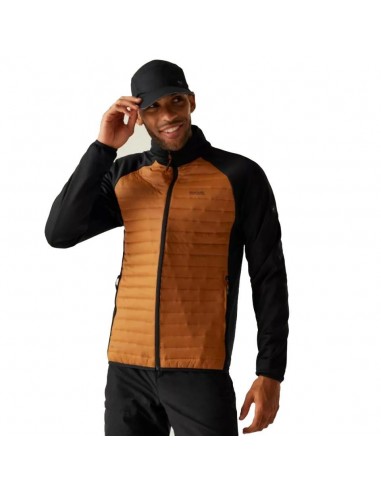 CHAQUETA REGATTA CLUMBERL HYBRID MARRON RMN312-ZLK