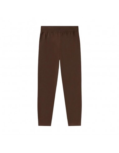 PANTALON PUMA SCRIPT MARRON MUJER 686902-65